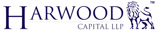 ROCKWOOD STRATEGIC PLC Logo