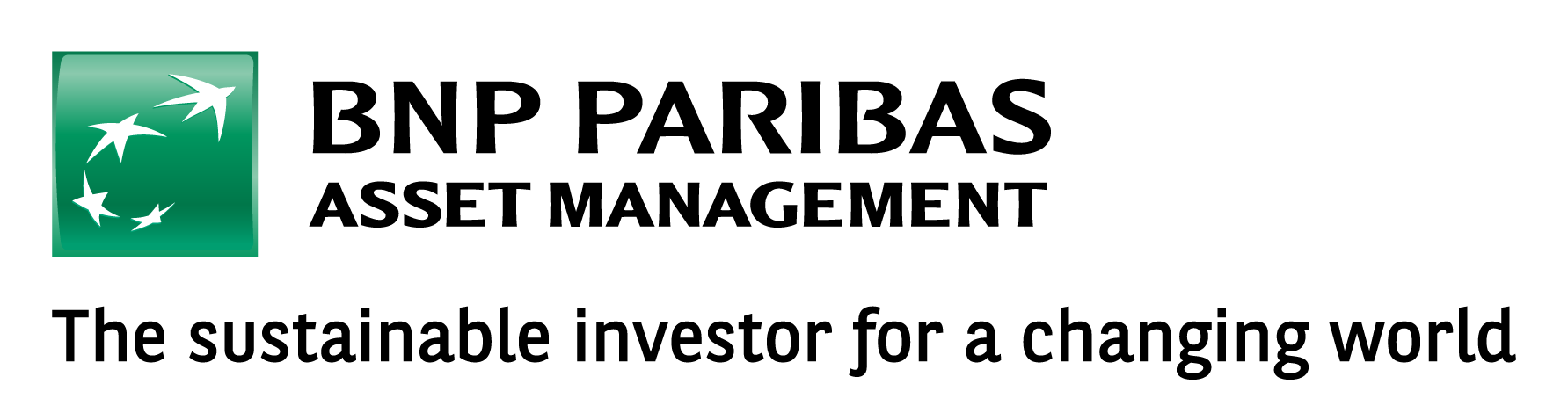 BNP PARIBAS EASY ICAV Logo